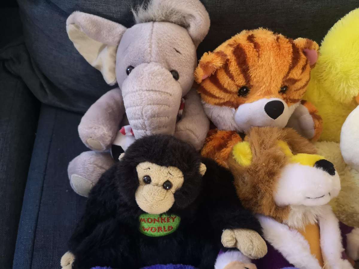 Mixed Stuffed Toy Lot