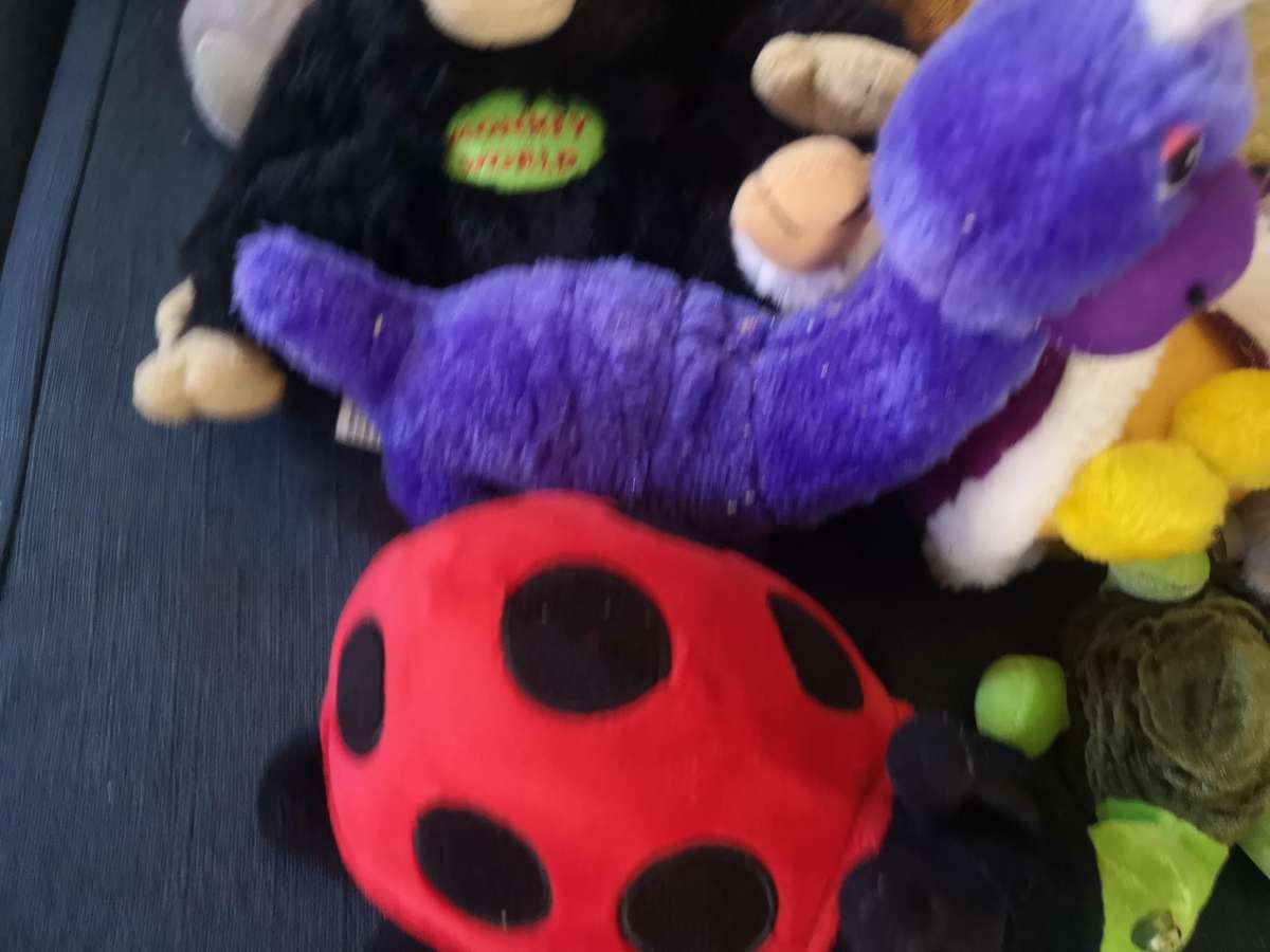 Mixed Stuffed Toy Lot
