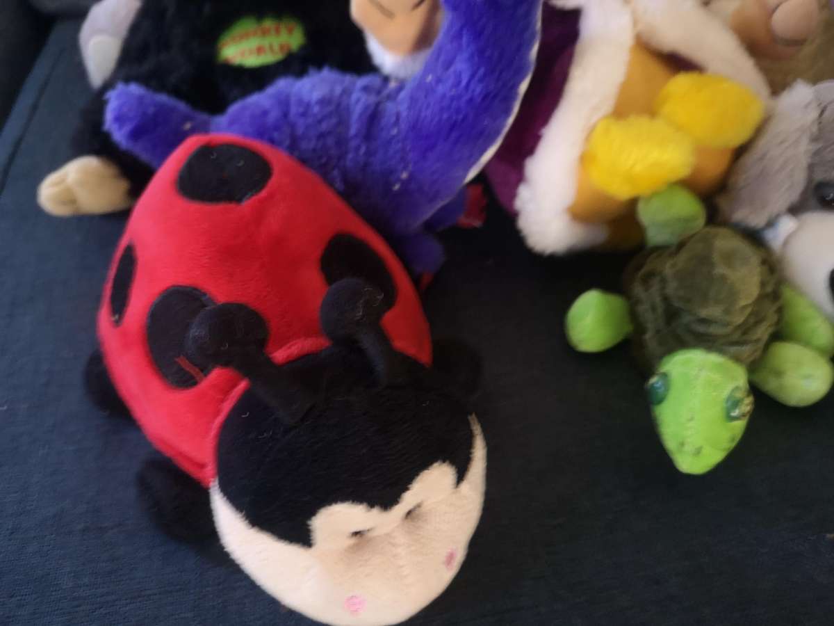 Mixed Stuffed Toy Lot