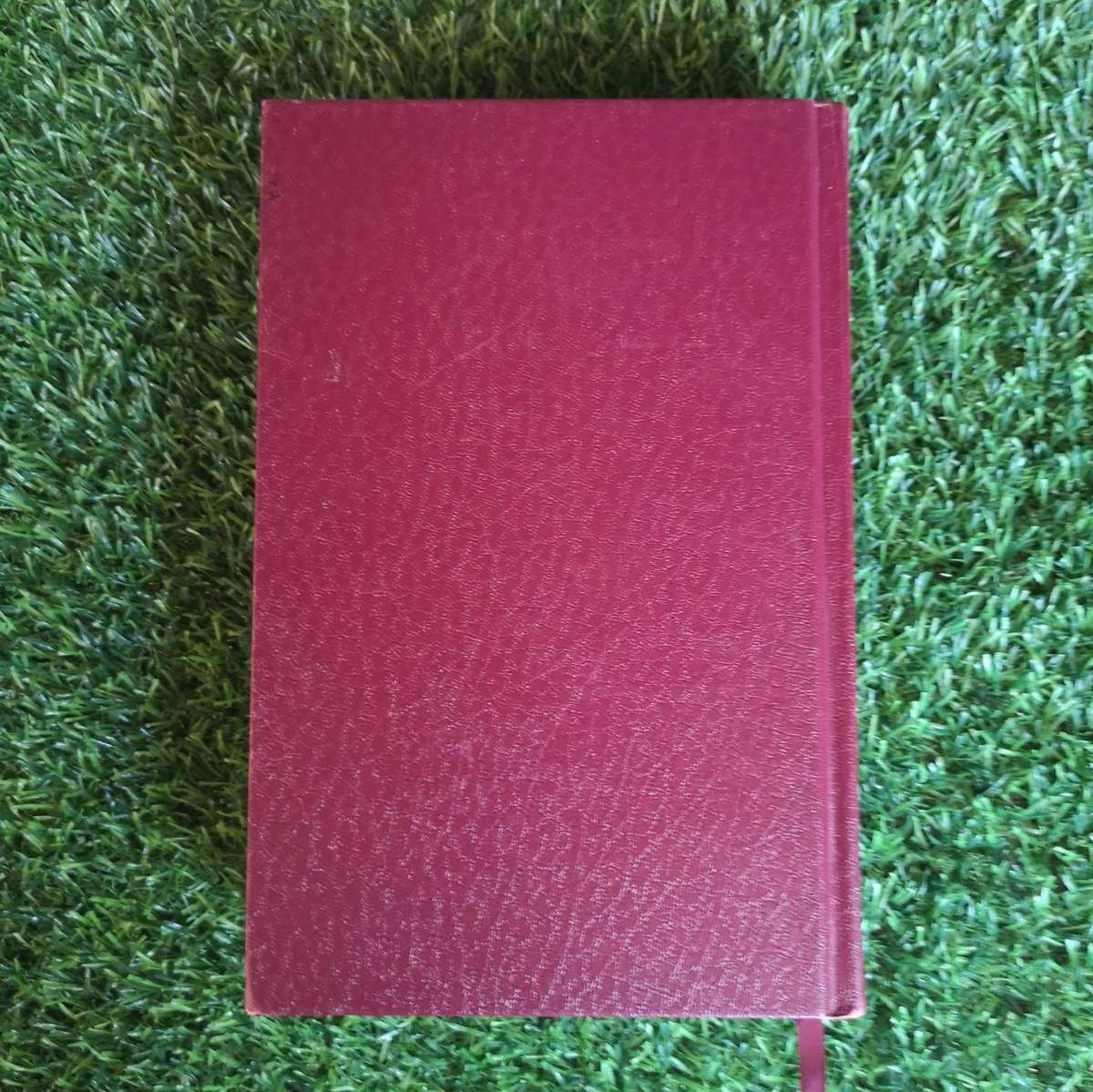 Die Bybel - Nuwe Lewende Vertaling