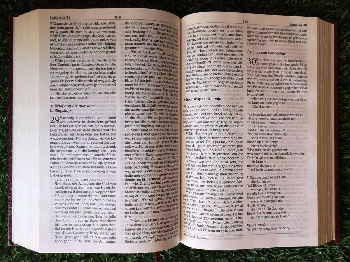 Die Bybel - Nuwe Lewende Vertaling