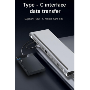 12 in 1 USB Type-C Multi Function Docking Station - DUAL HDMI OUTPUT
