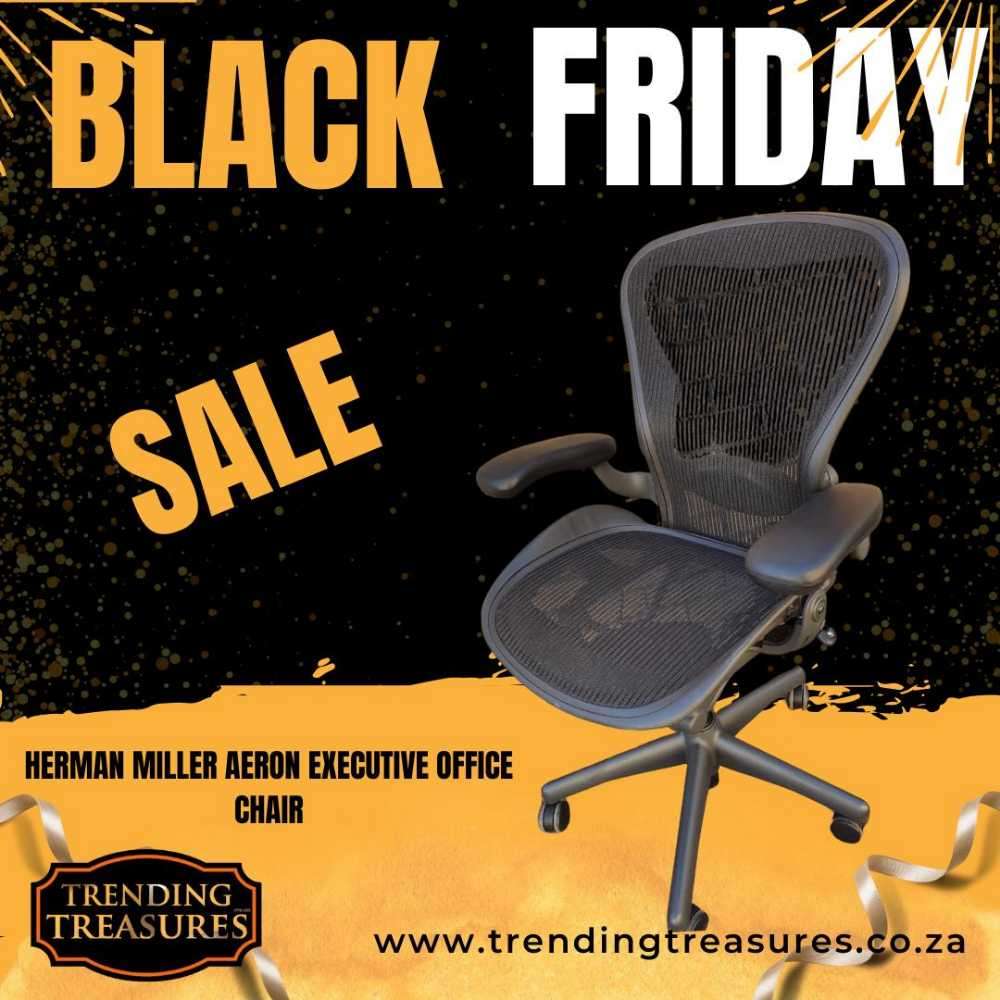 HERMAN MILLER AERON SIZE B