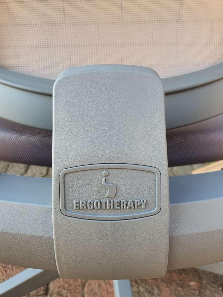 ERGOTHERAPY High-Back Office Chair (Headrest) - Grey