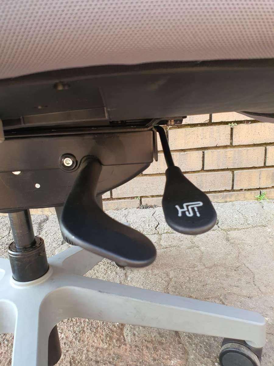 ERGOTHERAPY High-Back Office Chair (Headrest) - Grey