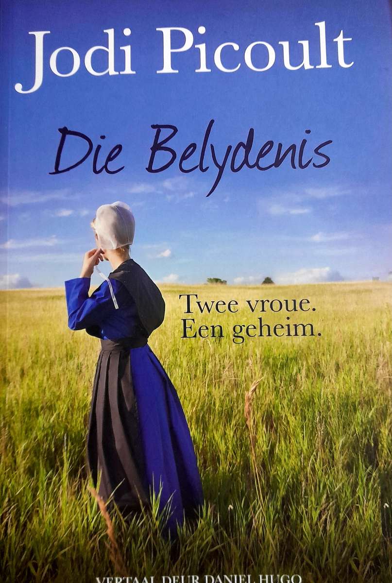 Die Belydenis deur Jodi Picoult