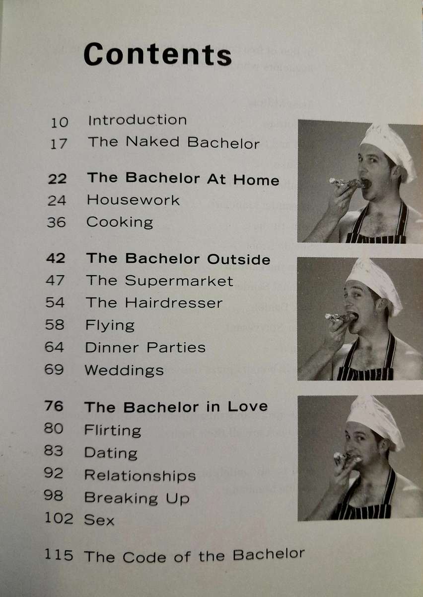 The Naked Bachelor by Darrel Bristow-Bovey