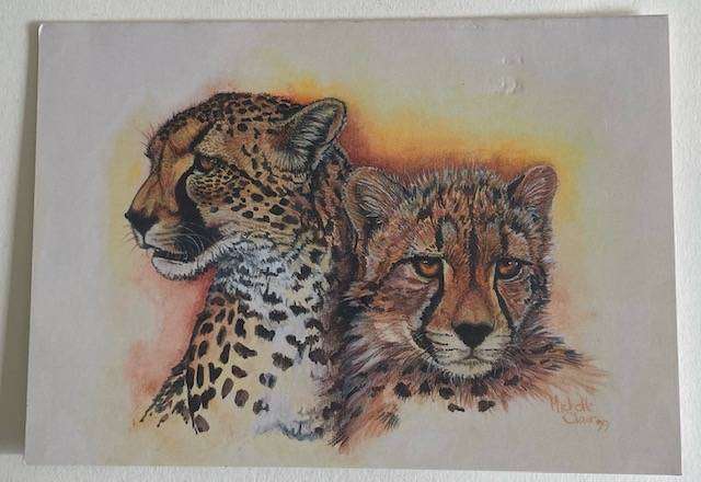Cheetah Card - Painting by Michelle Clair - Zimbabwe Wildlife Society