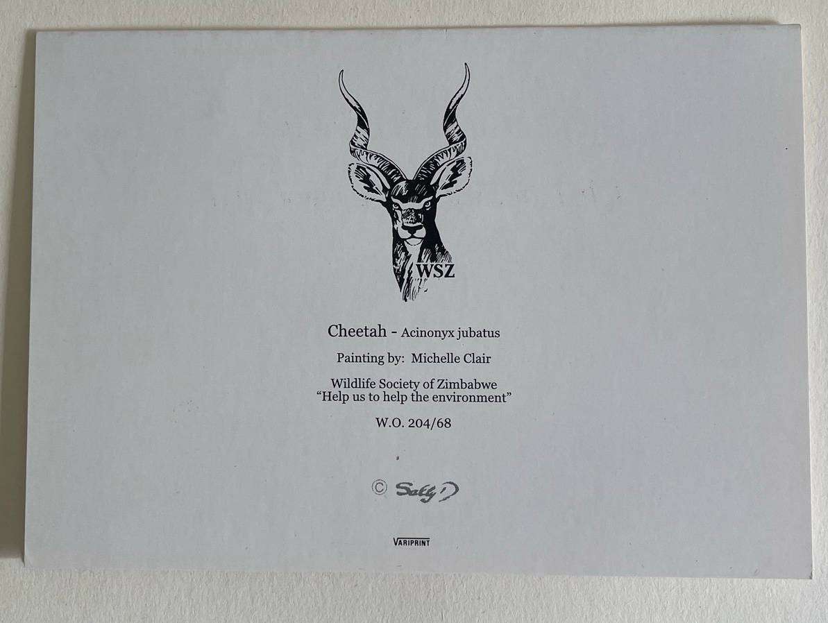 Cheetah Card - Painting by Michelle Clair - Zimbabwe Wildlife Society