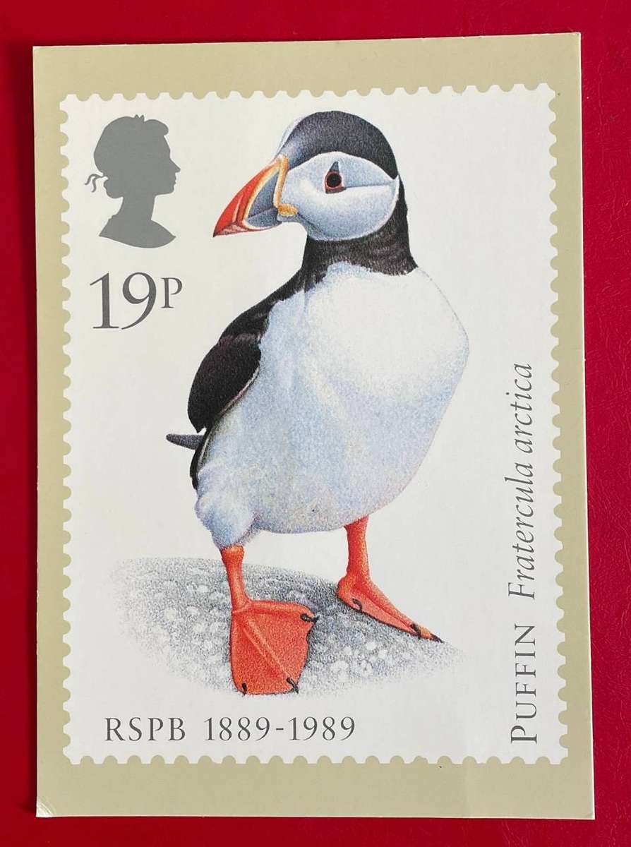 Maxi Card - PUFFIN - 19pence -  Royal Mail 1989
