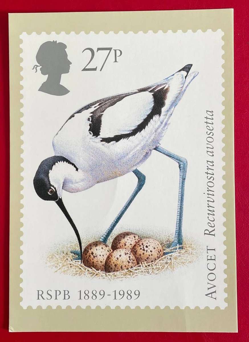 Maxi Card - AVOCET - 27P -  Royal Mail 1989