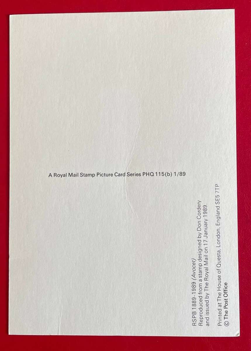 Maxi Card - AVOCET - 27P -  Royal Mail 1989