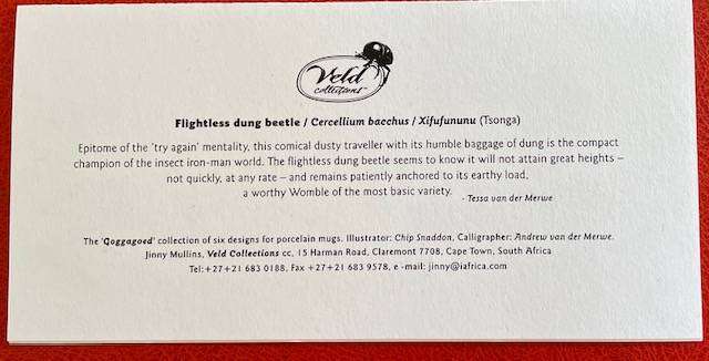 Blank card - DUNG BEETLE - "GOGGAGOED" -VELD COLLECTIONS - CAPE TOWN - AFRICANA