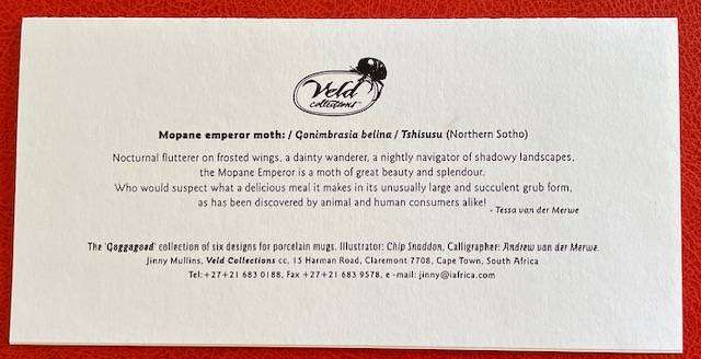 Blank card - MOPANE MOTH - "GOGGAGOED" -VELD COLLECTIONS - CAPE TOWN - AFRICANA