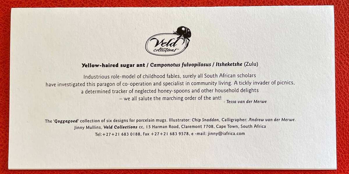 Blank card - SUGAR ANT - "GOGGAGOED" -VELD COLLECTIONS - CAPE TOWN - AFRICANA