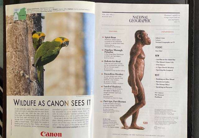 National Geographic Magazine August 2011 - Making Robots Human, South Africa's Fossil Find & More