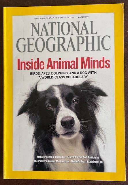 National Geographic Magazine  2008 - Inside Animal Minds. Birds, Apes, Dolphins, Dogs and more...