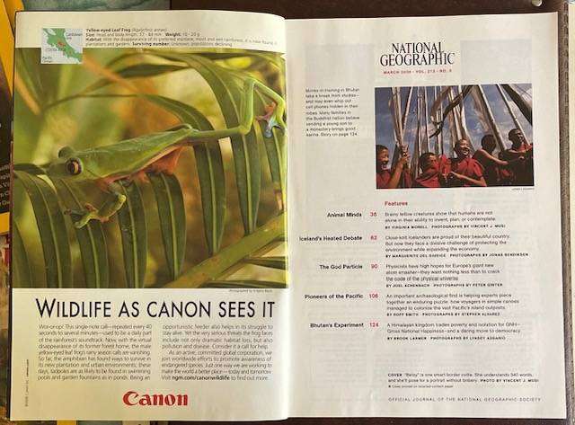 National Geographic Magazine  2008 - Inside Animal Minds. Birds, Apes, Dolphins, Dogs and more...