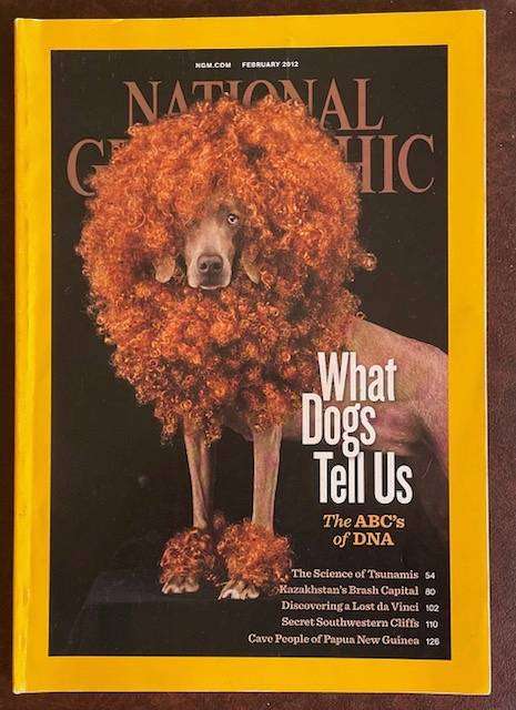 National Geographic Magazine  2012 - What Dogs Tell us - The ABC's of DNA, Tsunami's, Da Vinci ..