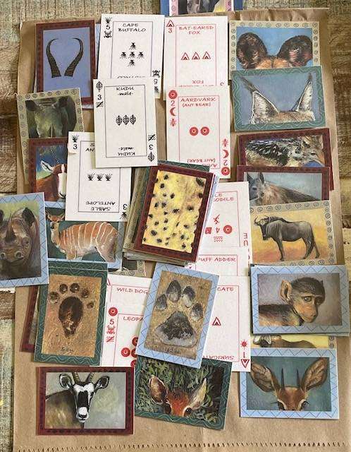 South African Animal Identification Cards  (56). Great for kids to take on a Safari holiday!
