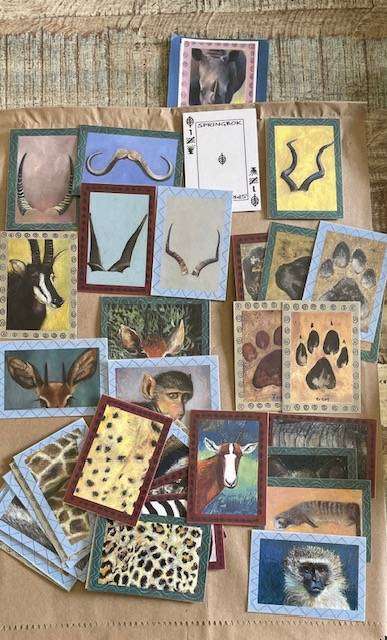 South African Animal Identification Cards  (56). Great for kids to take on a Safari holiday!