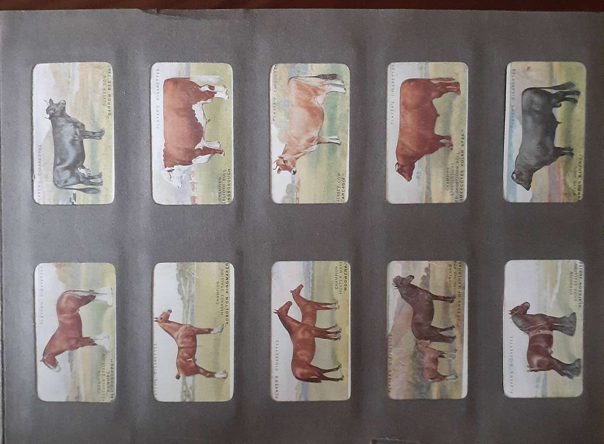 VINTAGE ANTIQUE LONDON CIGARETTE CARD ALBUM!