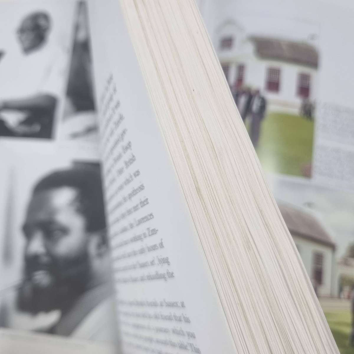 Thabo Mbeki: The Dream Deferred by Mark Gevisser (Paperback)