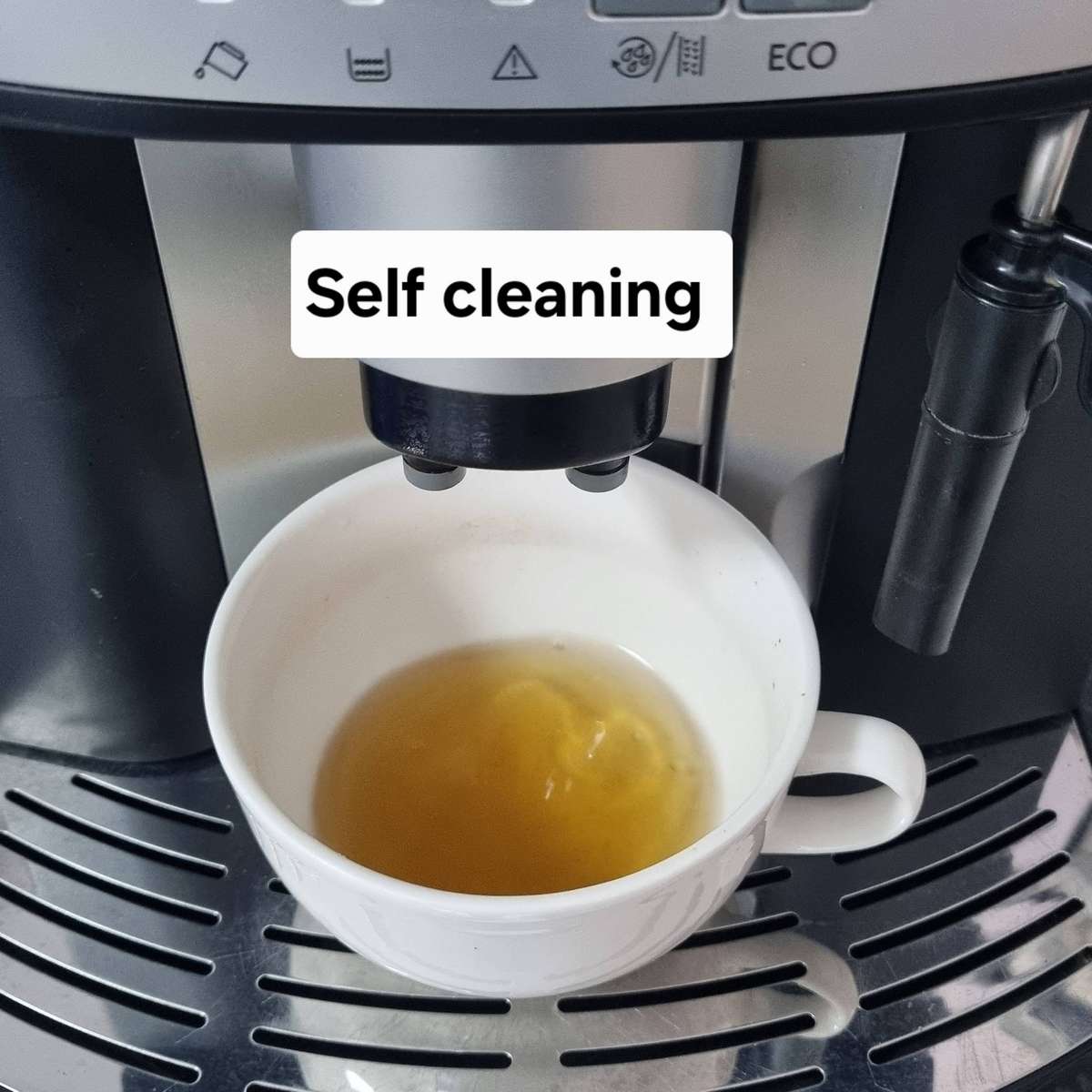 DeLonghi Caffè Corso ESAM 2800 (Automatic Bean-to-Cup Espresso Machine)