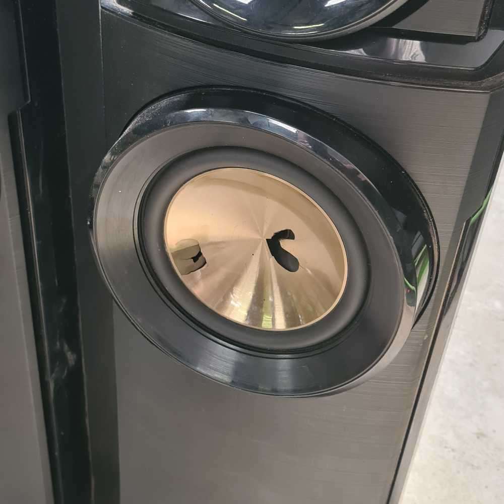 LG tallboy speakers (working 100%) read