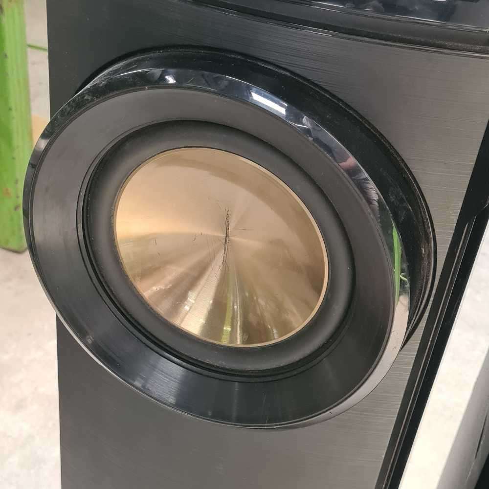 LG tallboy speakers (working 100%) read