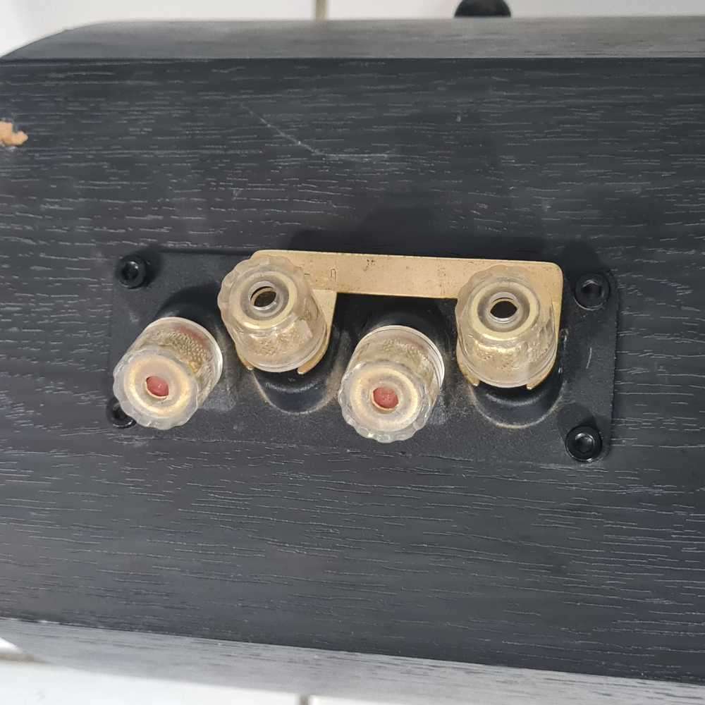 Wharfedale 10 CS center speaker