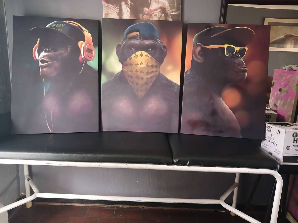 Swag 3 piece canvas