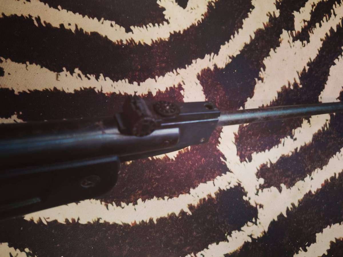 Hatsan Pellet Gun Mod 30