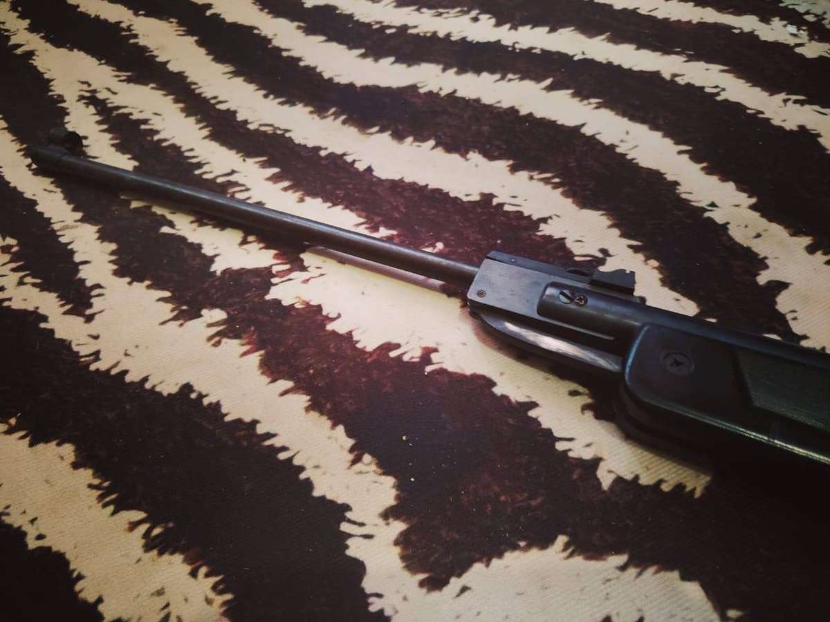 Hatsan Pellet Gun Mod 30