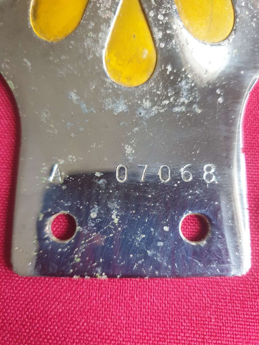 Vintage South Africa AA car badge