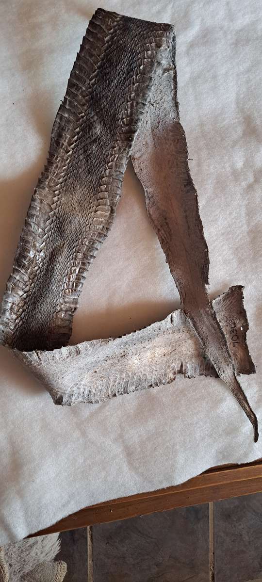 Tanned/Treated snake skins