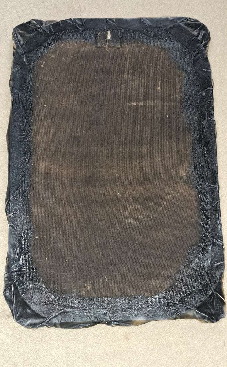 Beautiful Oil on Canvas and Hardboard Animal Paintings