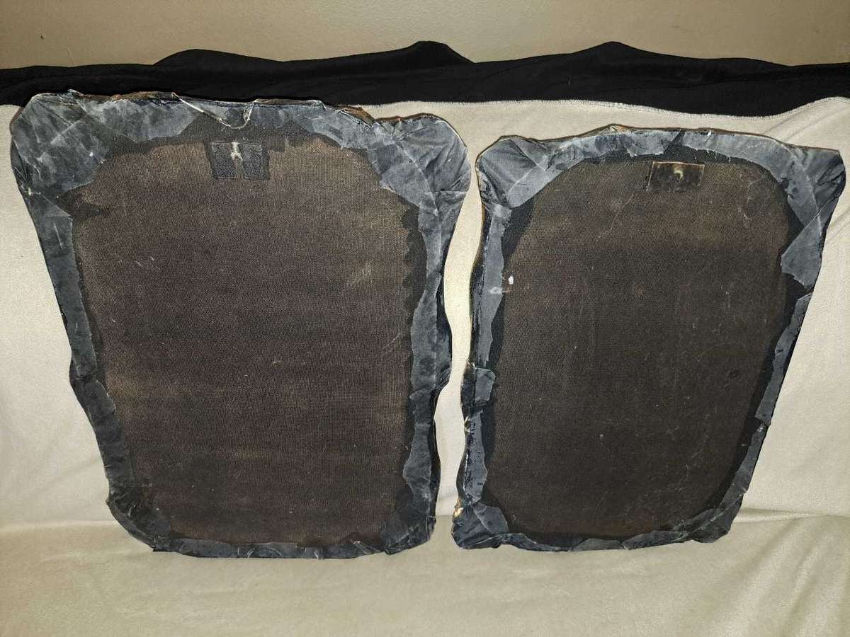 Beautiful Wildlife Paintings by Lawrence Foord