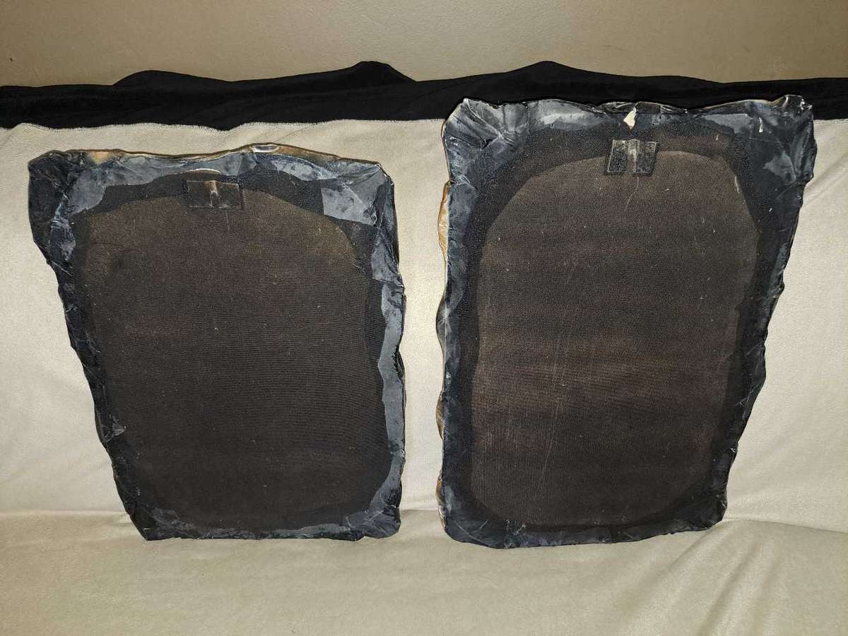 Beautiful Wildlife Paintings by Lawrence Foord