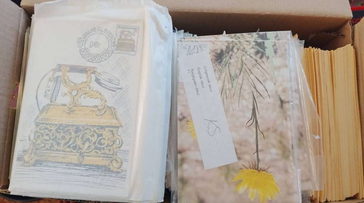 Box Of Maxi Card Sets  Mixed Africa