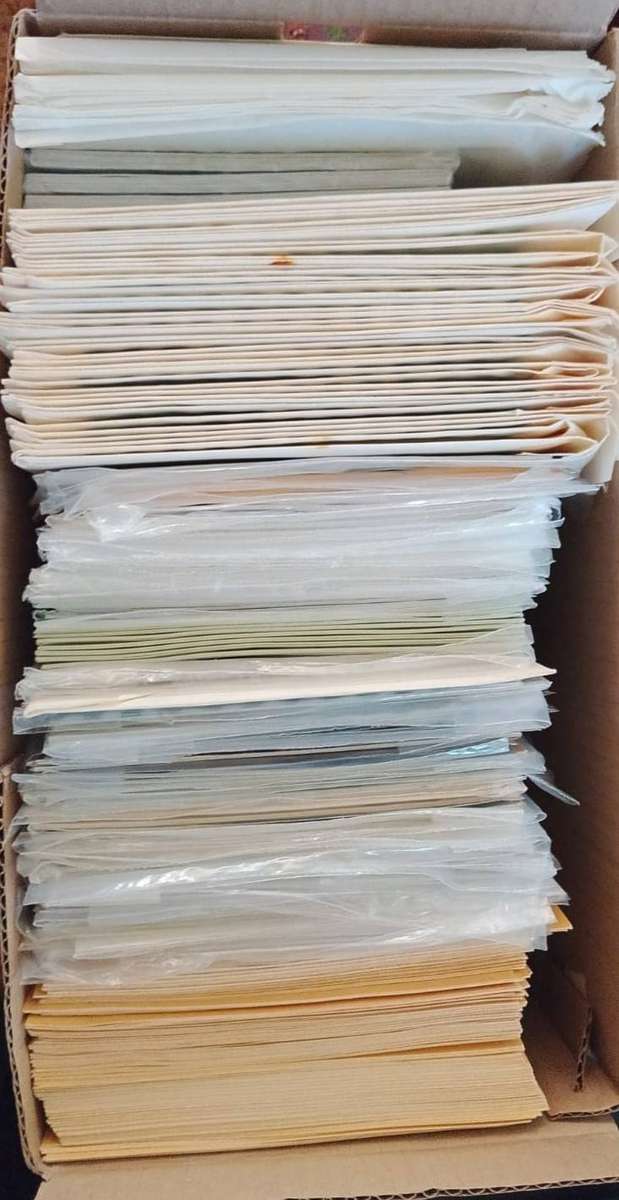 Box Of Maxi Card Sets  Mixed Africa