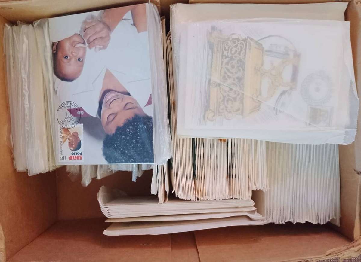 Box Of Maxi Card Sets  Mixed Africa