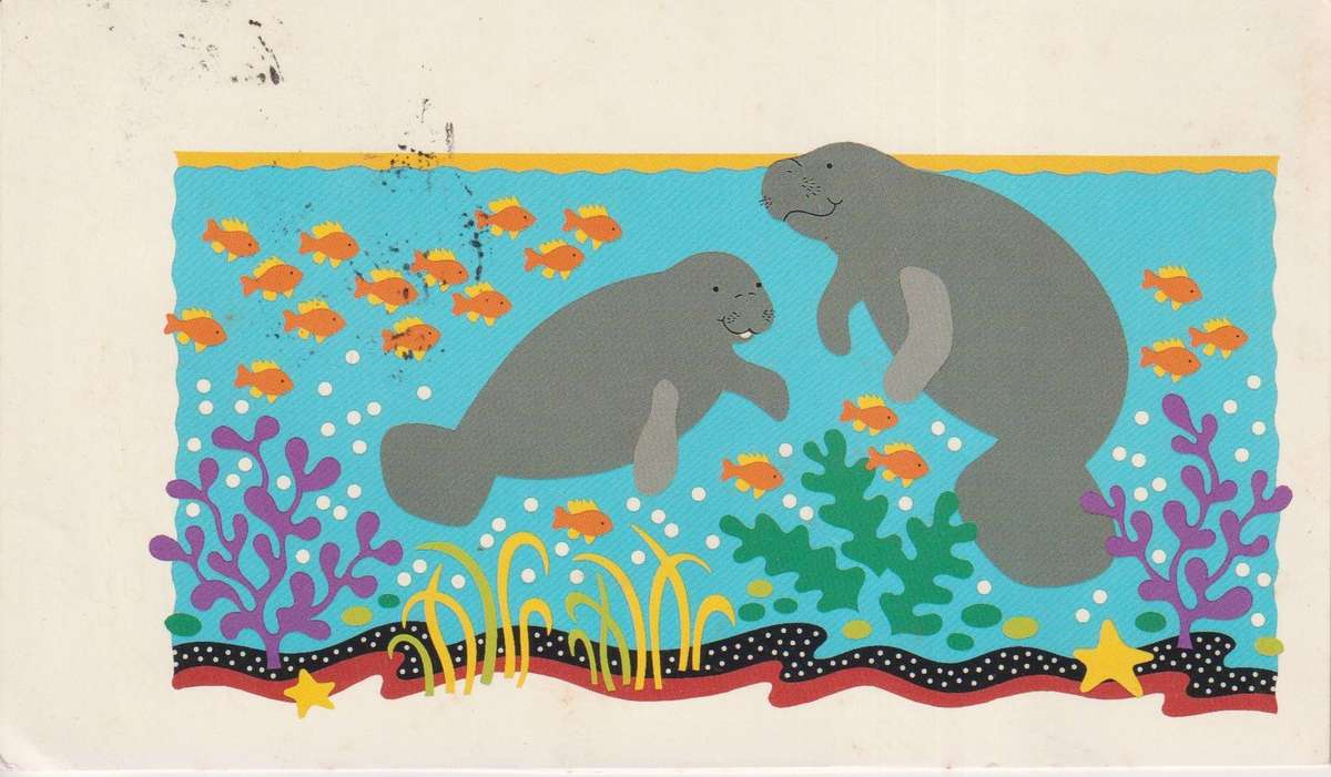 Post Cards / Maxi Cards