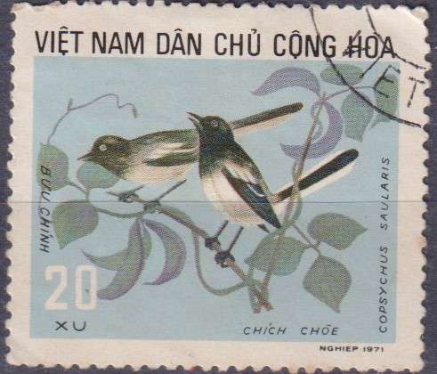 Stamp Thematic Birds