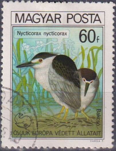 Stamp Thematic Birds