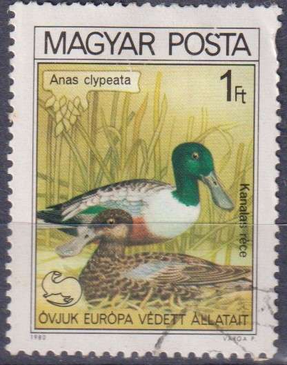 Stamp Thematic Birds