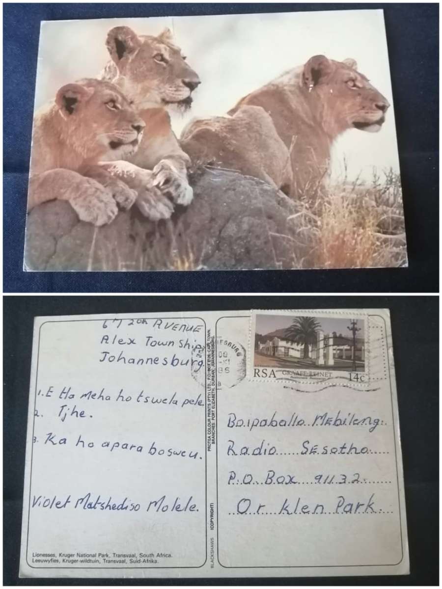 Post Cards / Maxi Card used/Kruger National Park