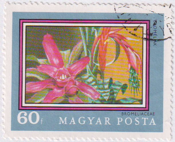 Stamp Thematic Flowers ULM Hungary