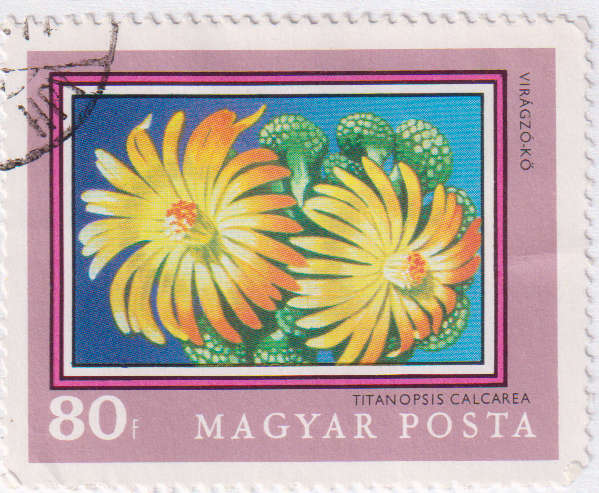 Stamp Thematic Flowers ULM Hungary