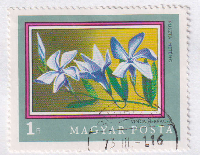 Stamp Thematic Flowers ULM Hungary